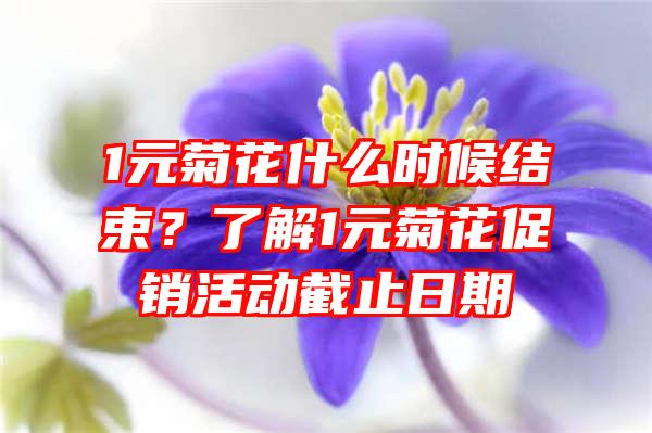 1元菊花什么时候结束？了解1元菊花促销活动截止日期