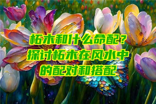 柘木和什么命配？探讨柘木在风水中的配对和搭配