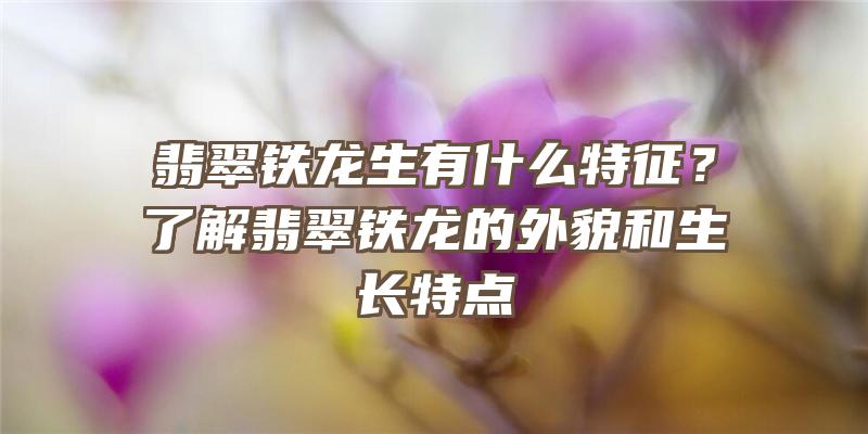 翡翠铁龙生有什么特征？了解翡翠铁龙的外貌和生长特点