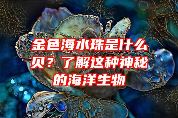 金色海水珠是什么贝？了解这种神秘的海洋生物