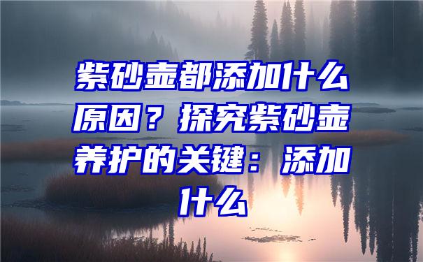 紫砂壶都添加什么原因？探究紫砂壶养护的关键：添加什么