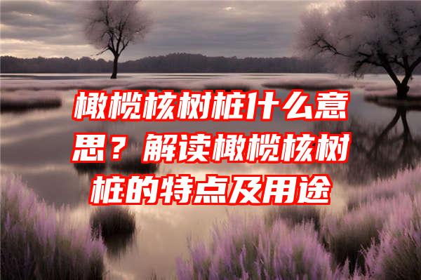 橄榄核树桩什么意思？解读橄榄核树桩的特点及用途