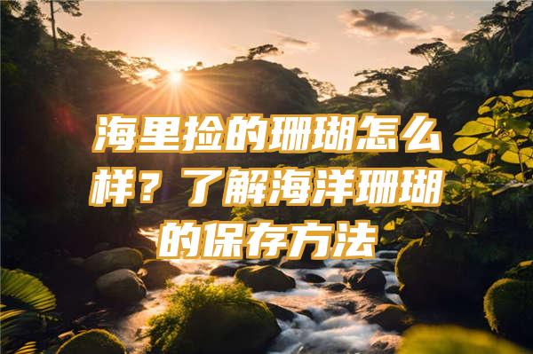 海里捡的珊瑚怎么样？了解海洋珊瑚的保存方法