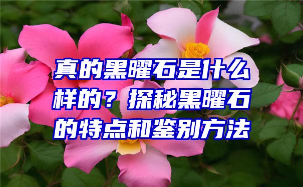 真的黑曜石是什么样的？探秘黑曜石的特点和鉴别方法