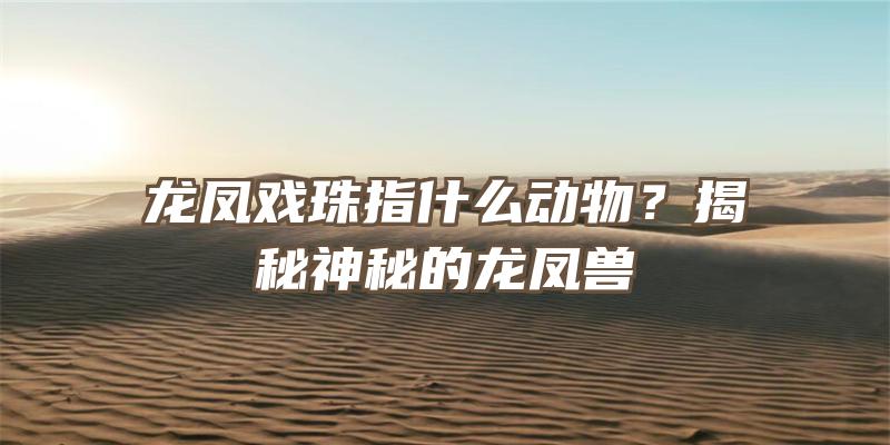 龙凤戏珠指什么动物？揭秘神秘的龙凤兽