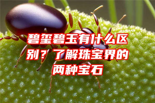 碧玺碧玉有什么区别？了解珠宝界的两种宝石