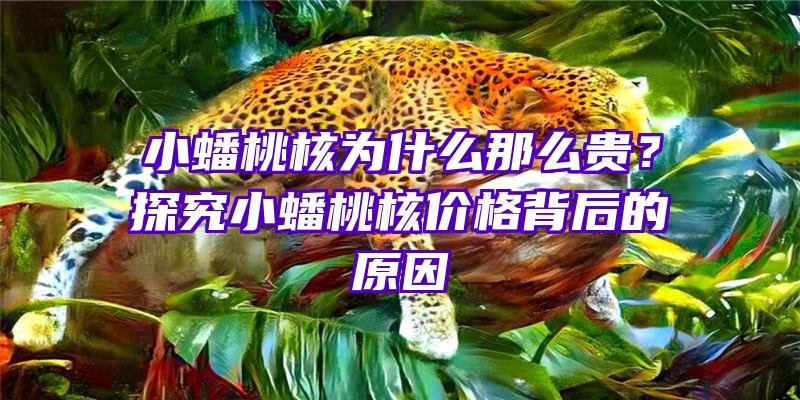 小蟠桃核为什么那么贵？探究小蟠桃核价格背后的原因