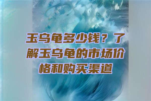 玉乌龟多少钱？了解玉乌龟的市场价格和购买渠道