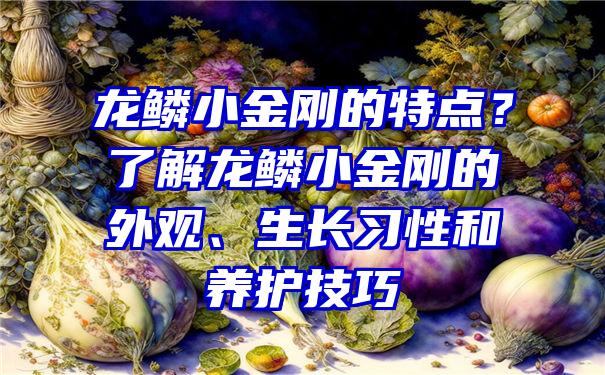 龙鳞小金刚的特点？了解龙鳞小金刚的外观、生长习性和养护技巧