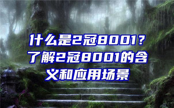 什么是2冠8001？了解2冠8001的含义和应用场景