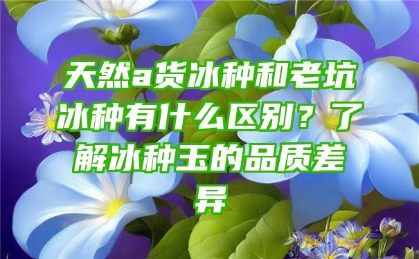 天然a货冰种和老坑冰种有什么区别？了解冰种玉的品质差异