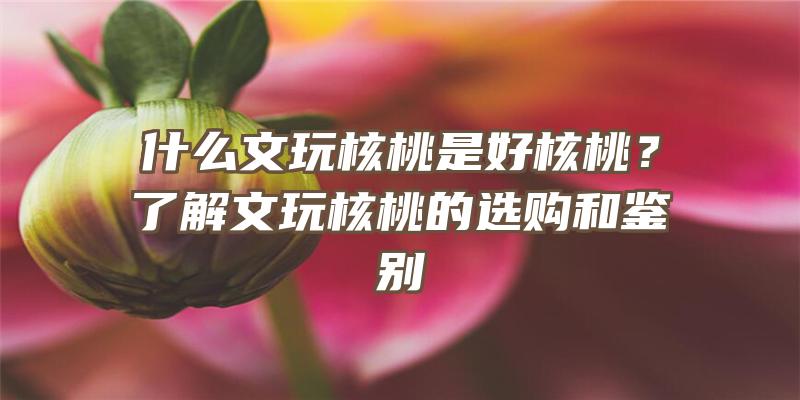 什么文玩核桃是好核桃？了解文玩核桃的选购和鉴别