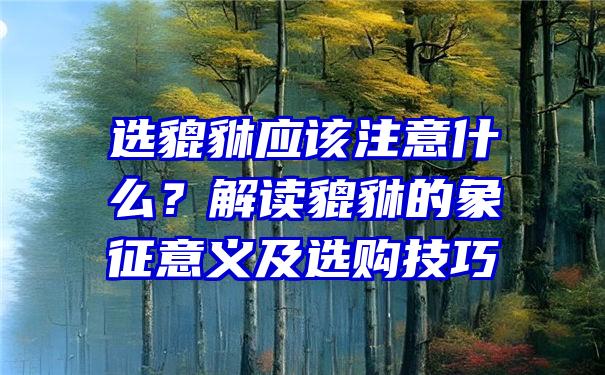 选貔貅应该注意什么？解读貔貅的象征意义及选购技巧