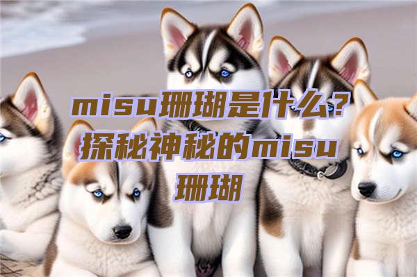 misu珊瑚是什么？探秘神秘的misu珊瑚