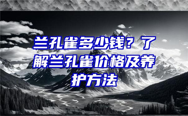 兰孔雀多少钱？了解兰孔雀价格及养护方法