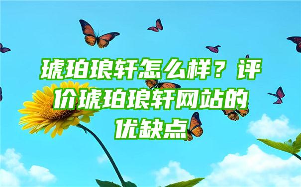 琥珀琅轩怎么样？评价琥珀琅轩网站的优缺点