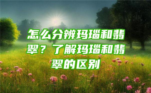 怎么分辨玛瑙和翡翠？了解玛瑙和翡翠的区别