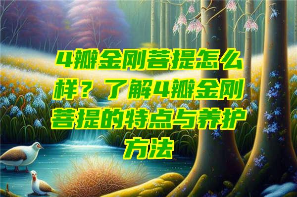 4瓣金刚菩提怎么样？了解4瓣金刚菩提的特点与养护方法