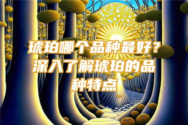 琥珀哪个品种最好？深入了解琥珀的品种特点