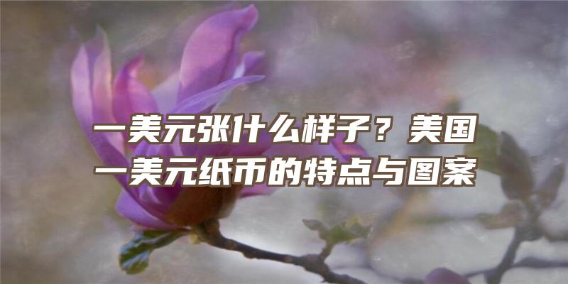 一美元张什么样子？美国一美元纸币的特点与图案