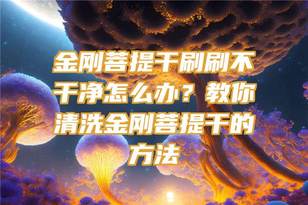 金刚菩提干刷刷不干净怎么办？教你清洗金刚菩提干的方法