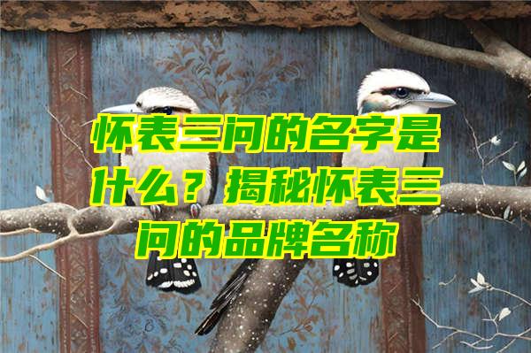 怀表三问的名字是什么？揭秘怀表三问的品牌名称