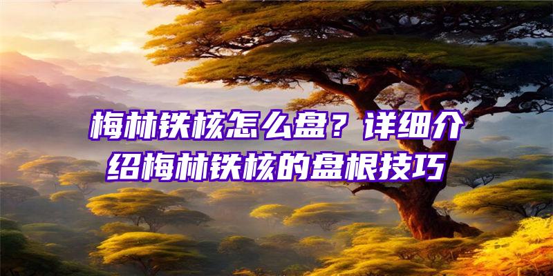 梅林铁核怎么盘？详细介绍梅林铁核的盘根技巧