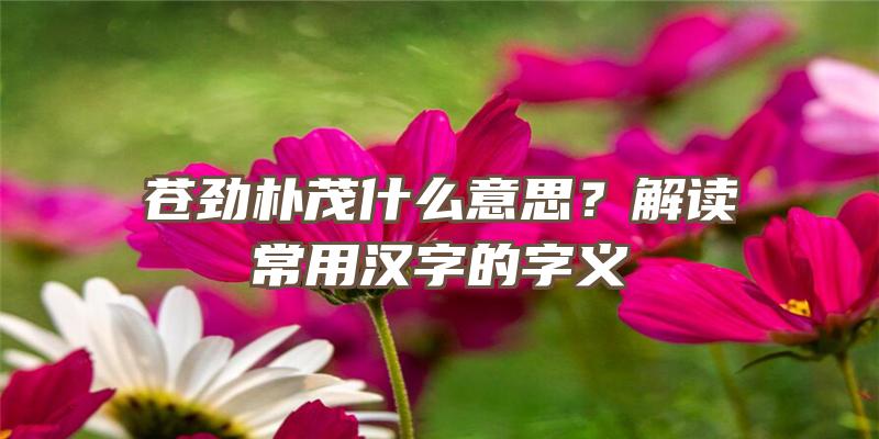 苍劲朴茂什么意思？解读常用汉字的字义