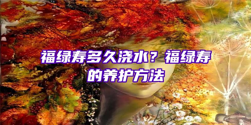 福绿寿多久浇水？福绿寿的养护方法