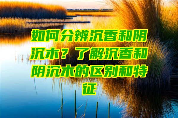 如何分辨沉香和阴沉木？了解沉香和阴沉木的区别和特征