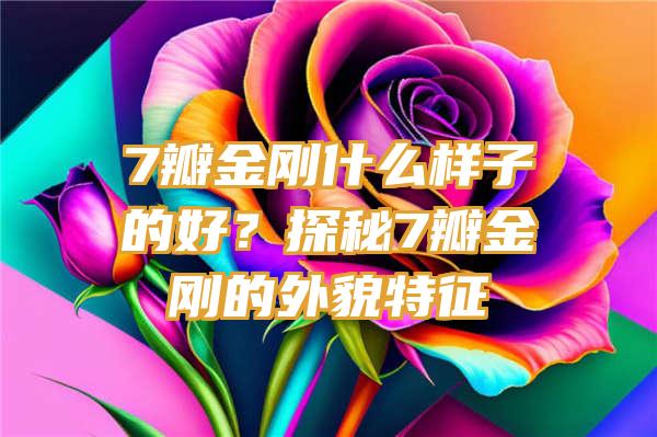 7瓣金刚什么样子的好？探秘7瓣金刚的外貌特征