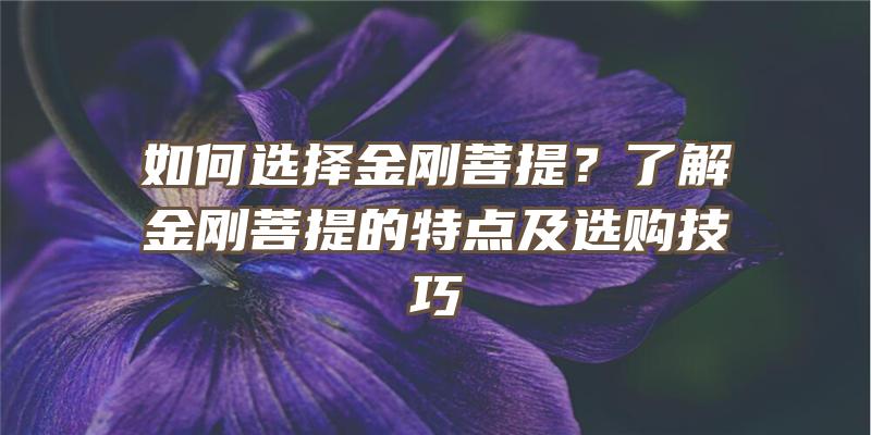 如何选择金刚菩提？了解金刚菩提的特点及选购技巧