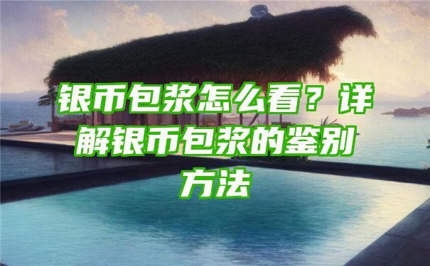 银币包浆怎么看？详解银币包浆的鉴别方法