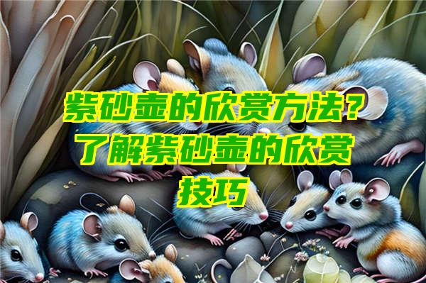 紫砂壶的欣赏方法？了解紫砂壶的欣赏技巧