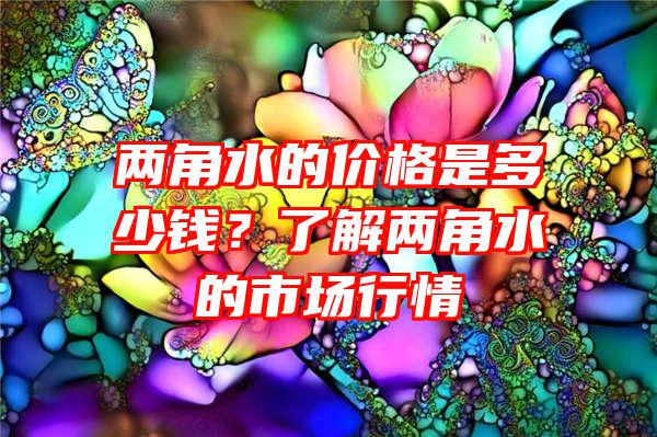 两角水的价格是多少钱？了解两角水的市场行情