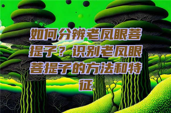 如何分辨老凤眼菩提子？识别老凤眼菩提子的方法和特征