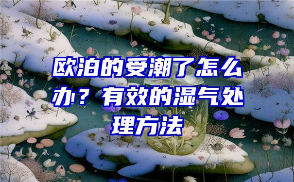 欧泊的受潮了怎么办？有效的湿气处理方法