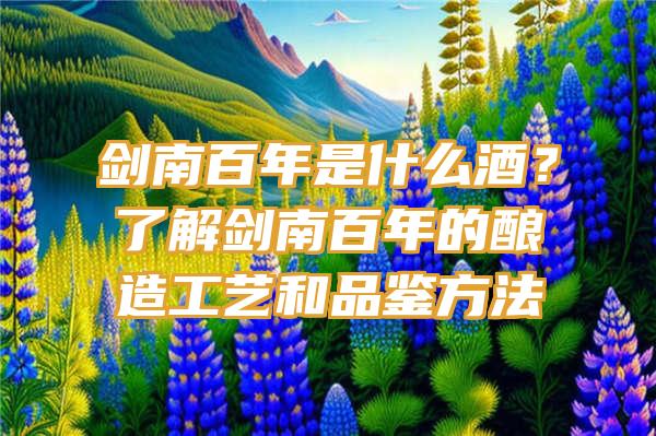 剑南百年是什么酒？了解剑南百年的酿造工艺和品鉴方法