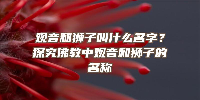 和狮子叫什么名字？探究教中和狮子的名称