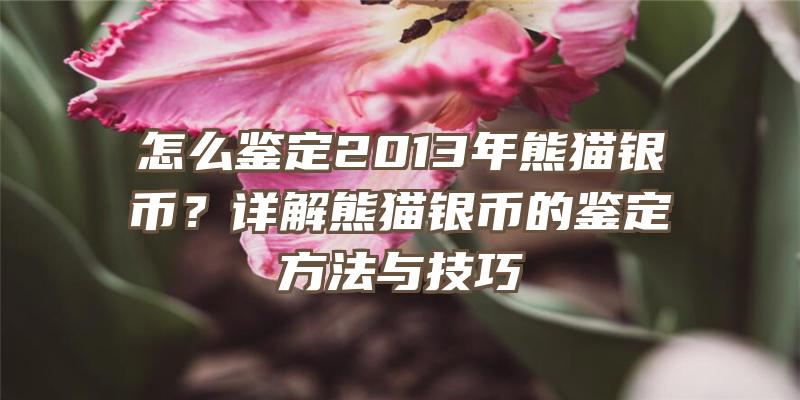 怎么鉴定2013年熊猫银币？详解熊猫银币的鉴定方法与技巧