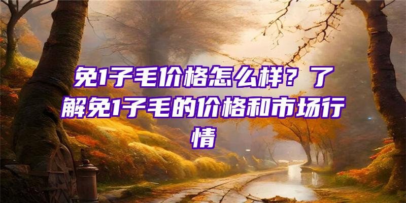 免1子毛价格怎么样？了解免1子毛的价格和市场行情