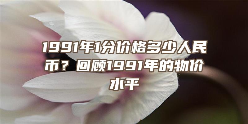 1991年1分价格多少人民币？回顾1991年的物价水平