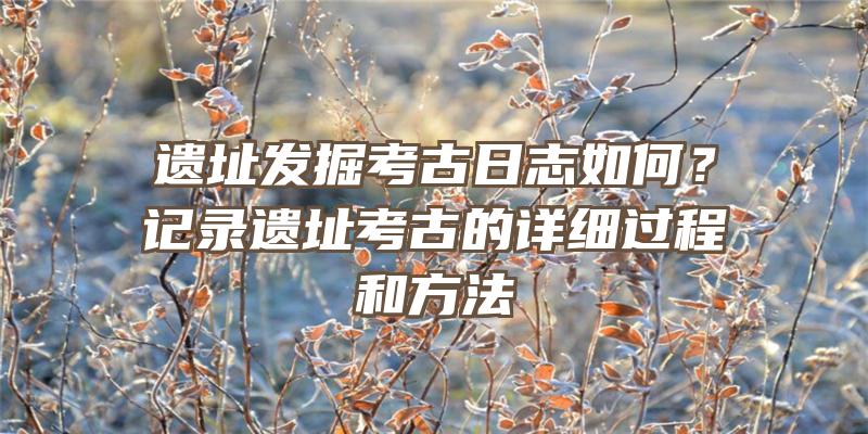 遗址发掘考古日志如何？记录遗址考古的详细过程和方法