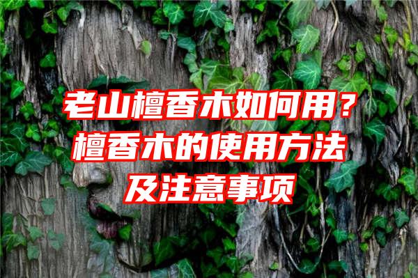 老山檀香木如何用？檀香木的使用方法及注意事项