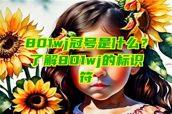 801wj冠号是什么？了解801wj的标识符