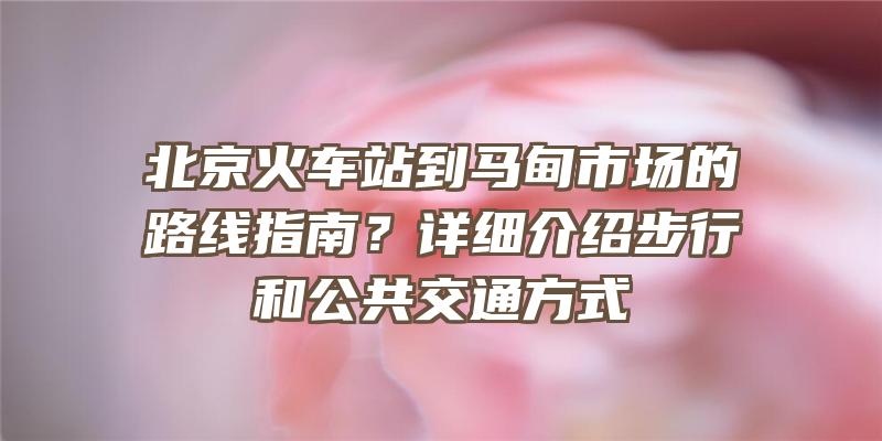 北京火车站到马甸市场的路线指南？详细介绍步行和公共交通方式