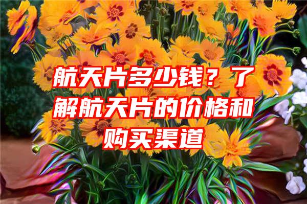 航天片多少钱？了解航天片的价格和购买渠道