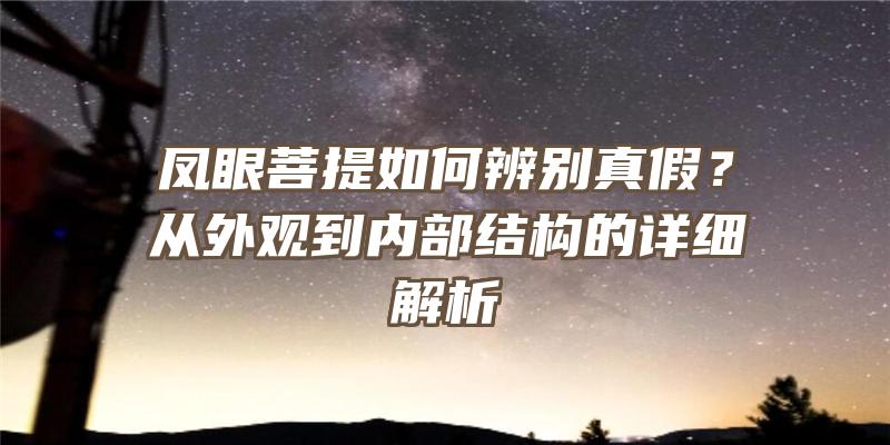 凤眼菩提如何辨别真假？从外观到内部结构的详细解析