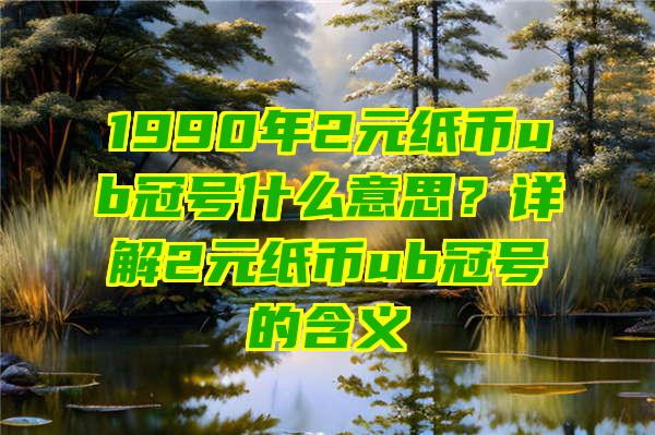 1990年2元纸币ub冠号什么意思？详解2元纸币ub冠号的含义