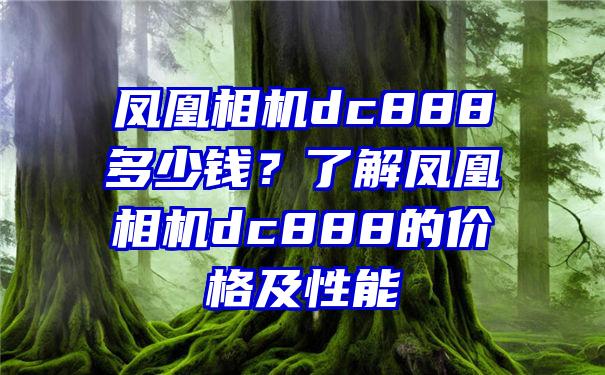 凤凰相机dc888多少钱？了解凤凰相机dc888的价格及性能